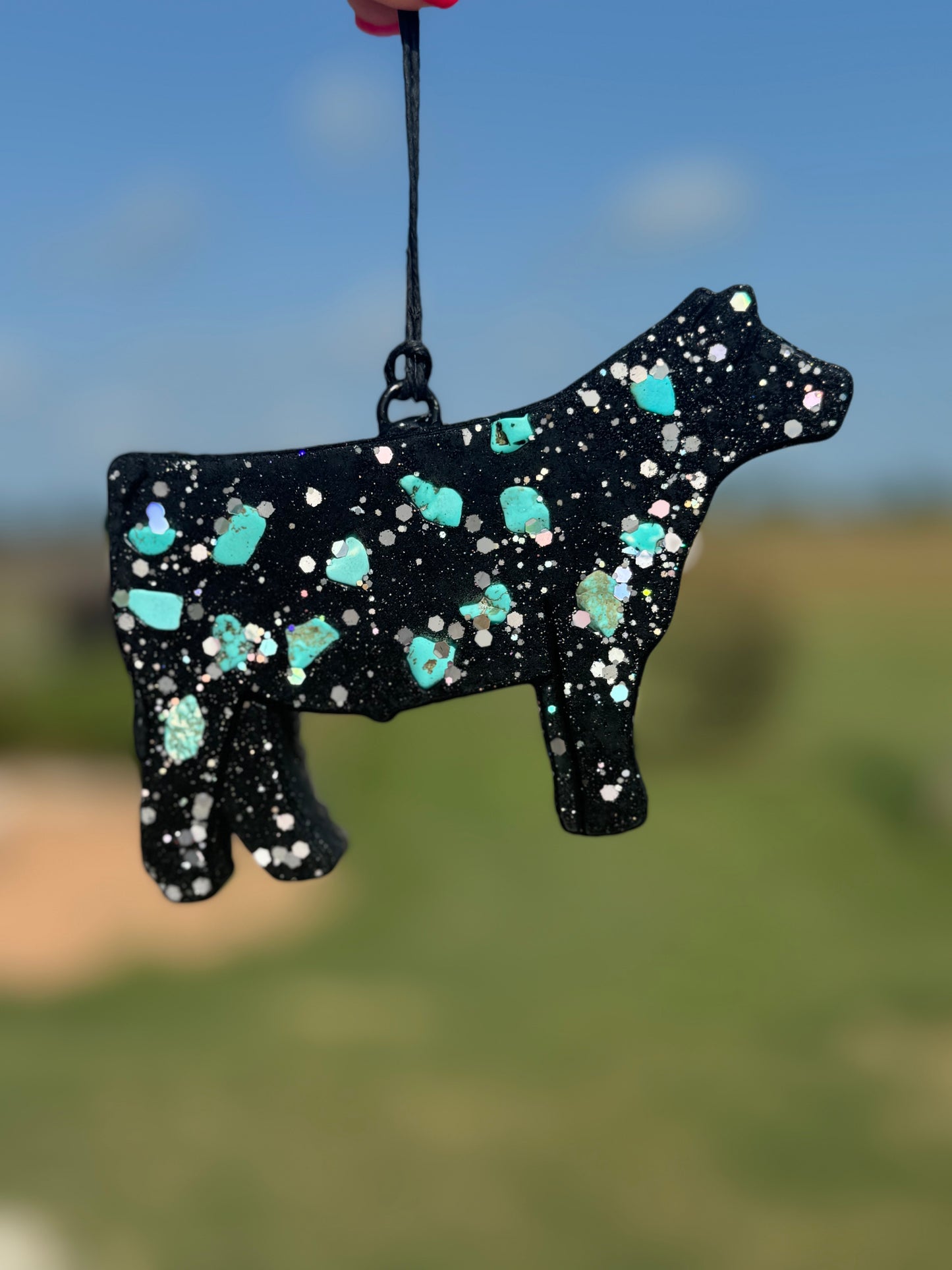 Show Steer