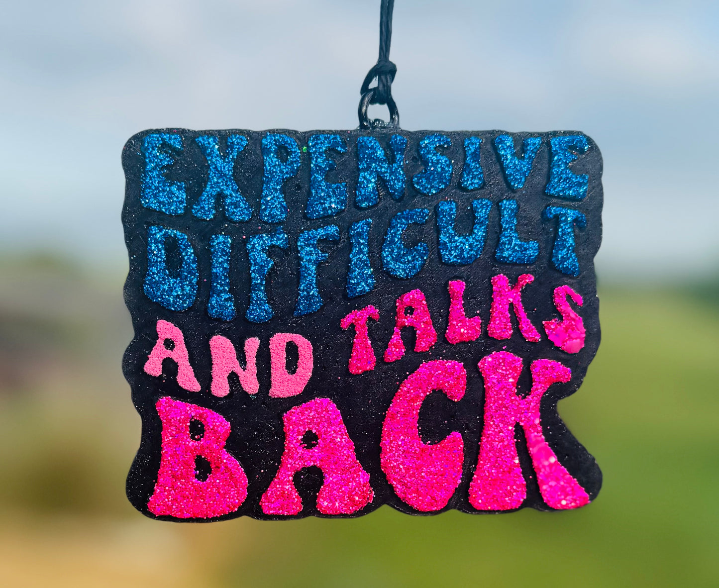 Expensive Difficult & Talks Back
