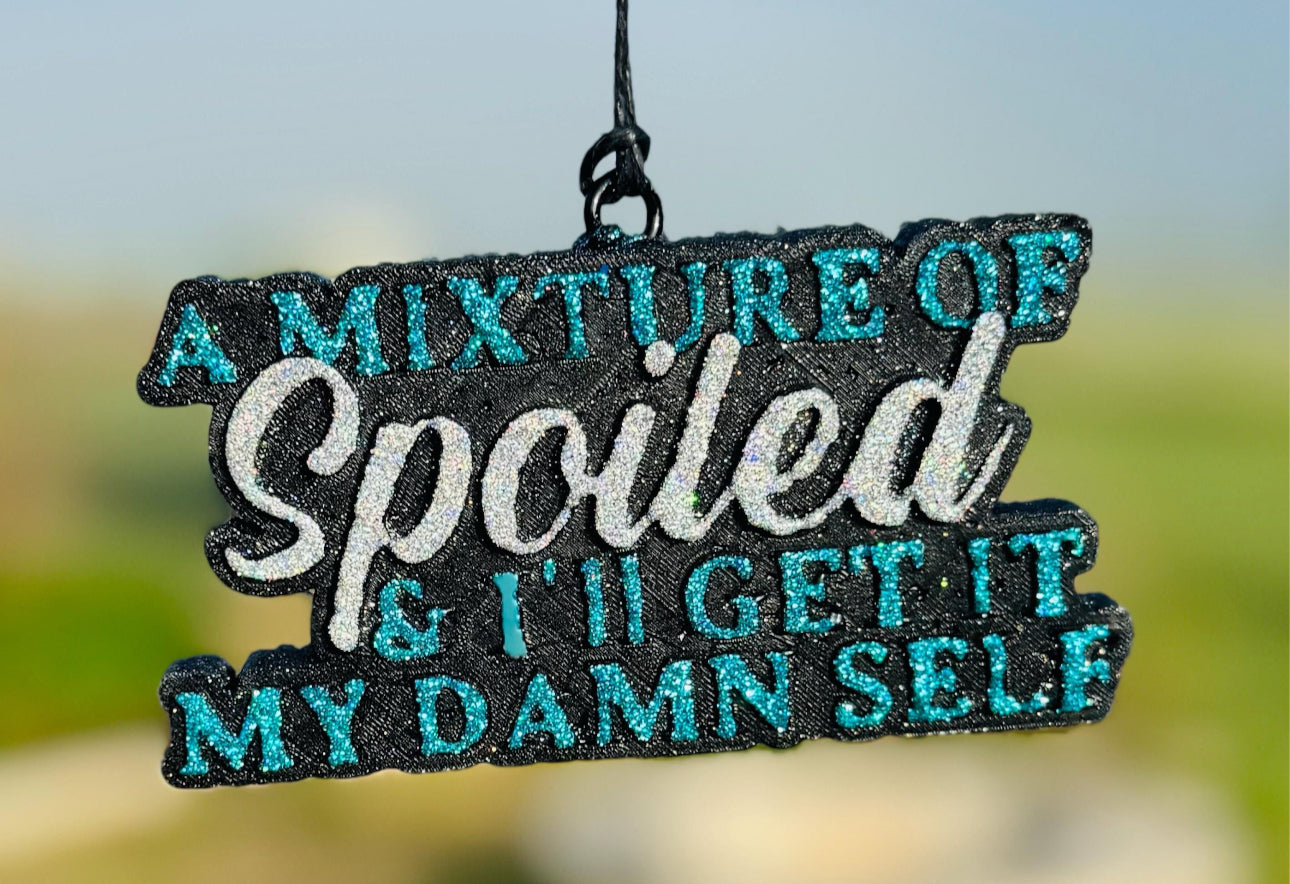 Somewhere Between Spoiled and I'll Get it Myself