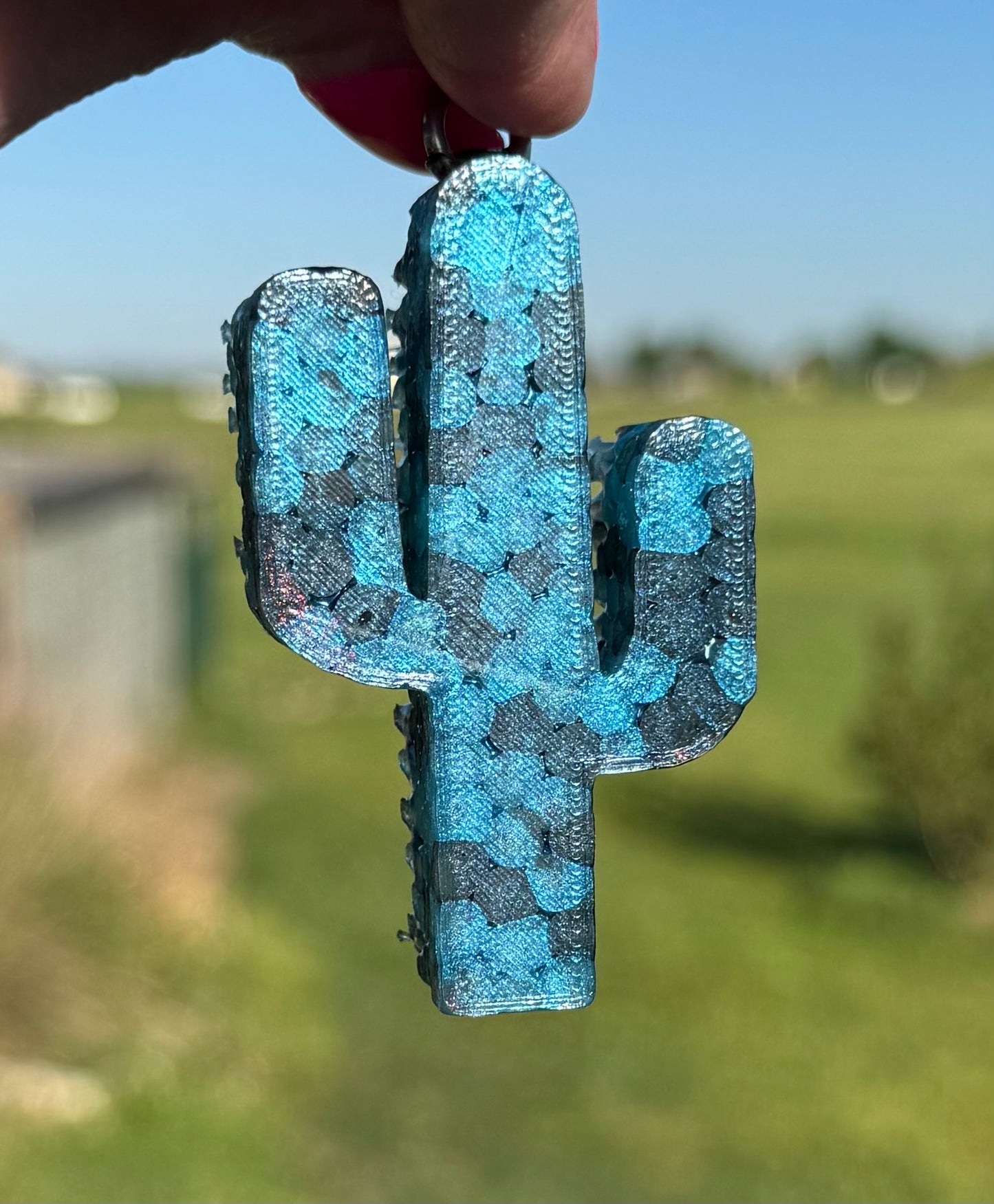 Cactus Vent Clips-2 clips