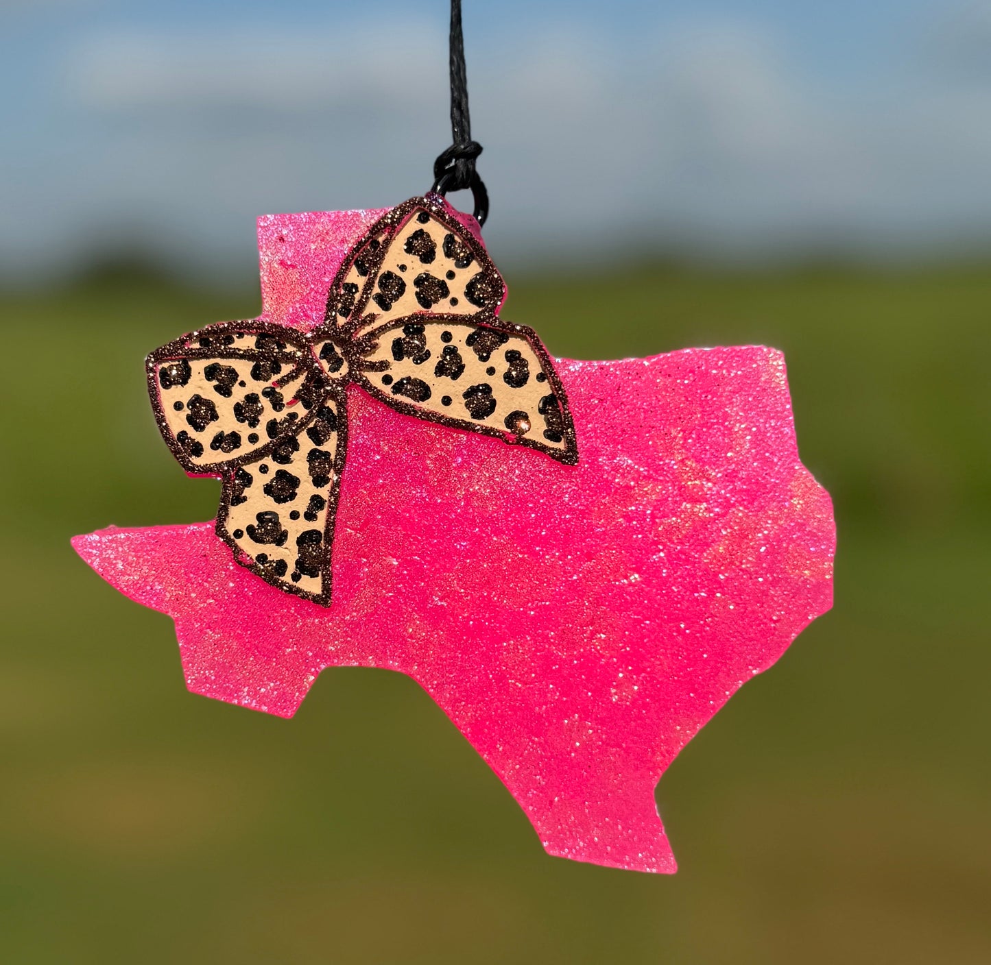 Texas with Bow