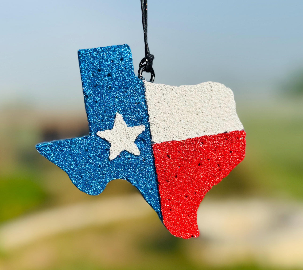 Texas with Flag