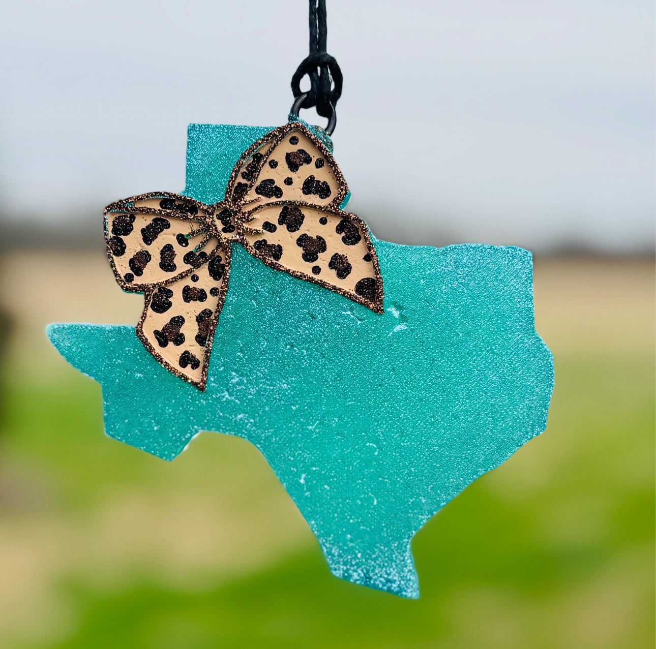 Texas with Bow
