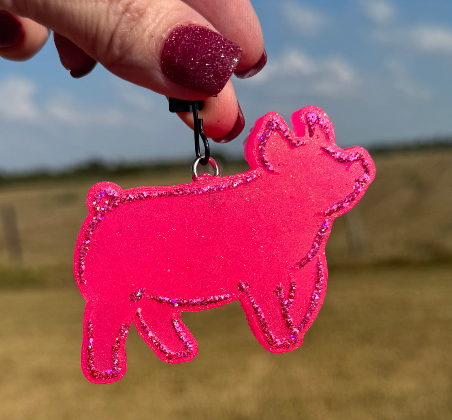 Show Pig Vent Clips-2 clips