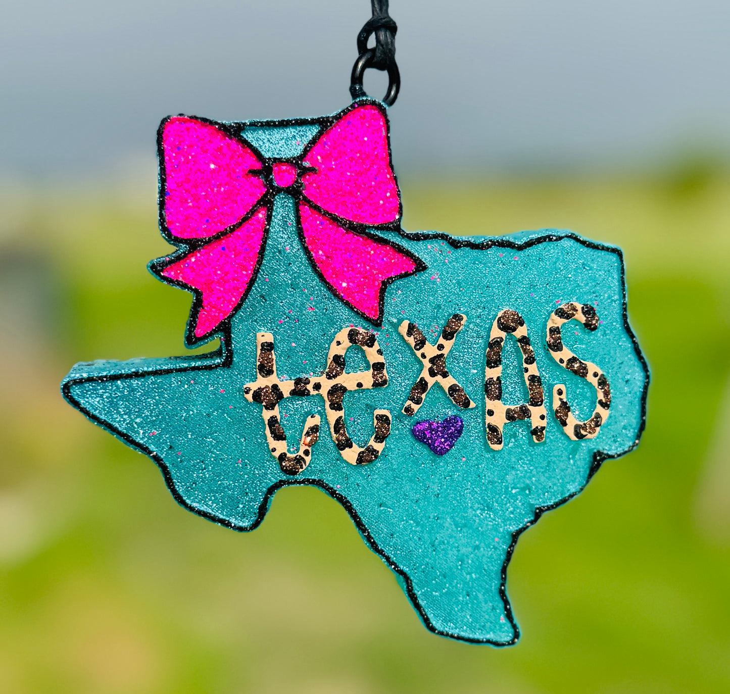 Texas with Bow and words