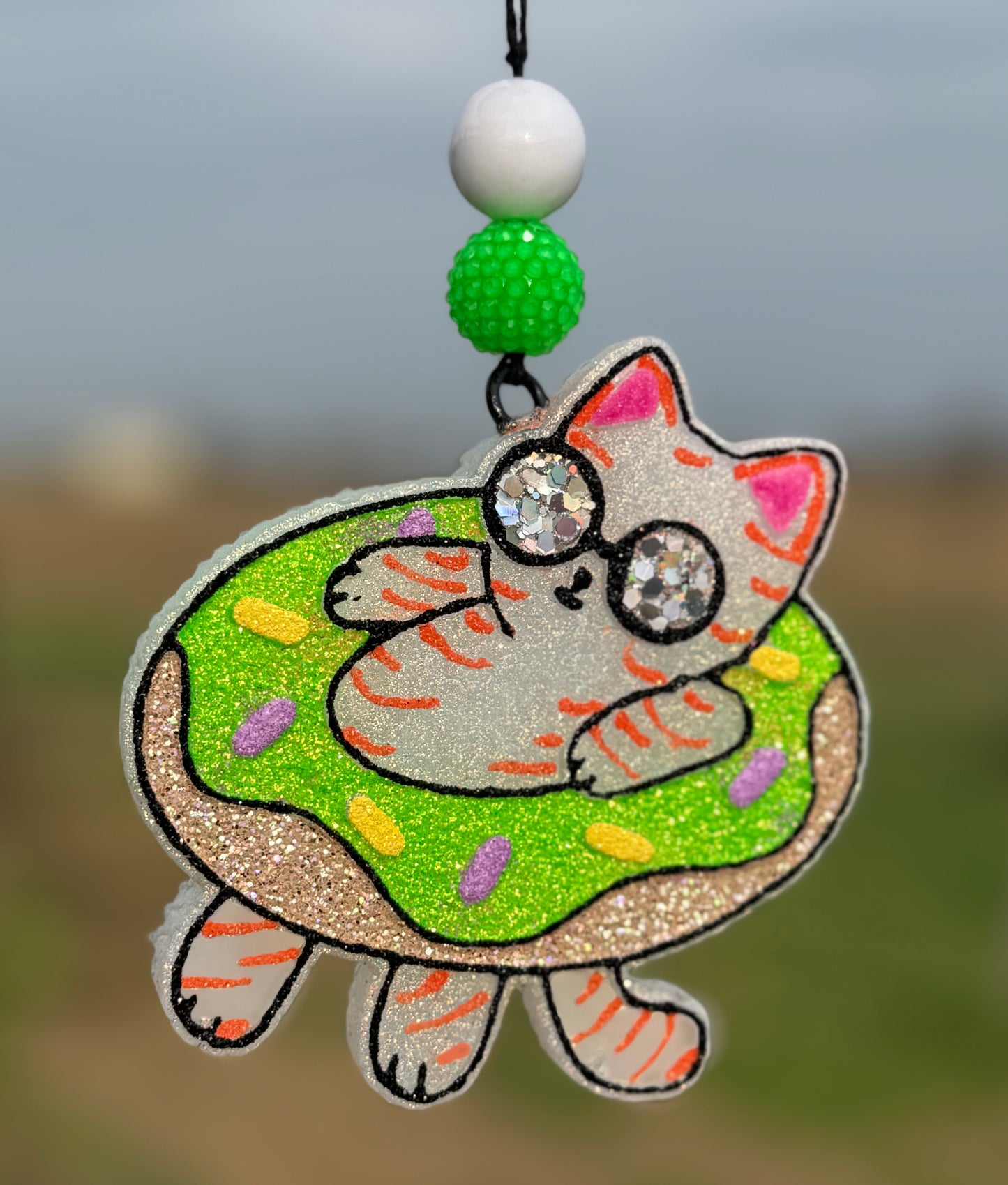 Cat in Donut Floatie