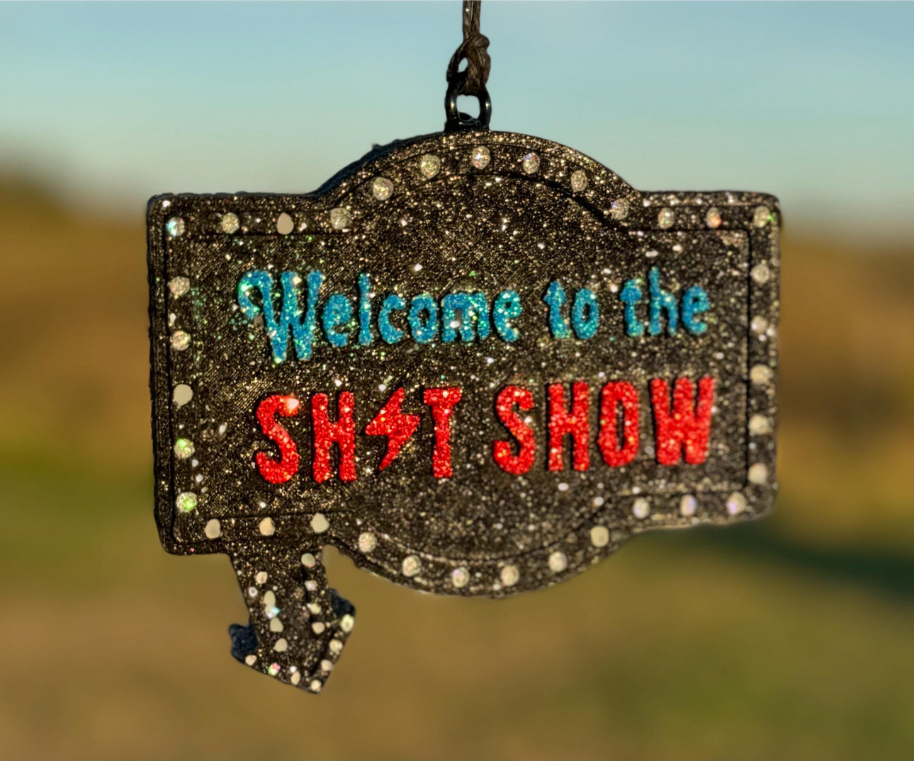 Welcome to the Shit Show