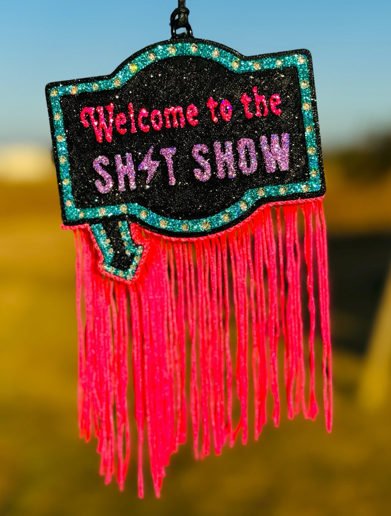 Welcome to the Shit Show