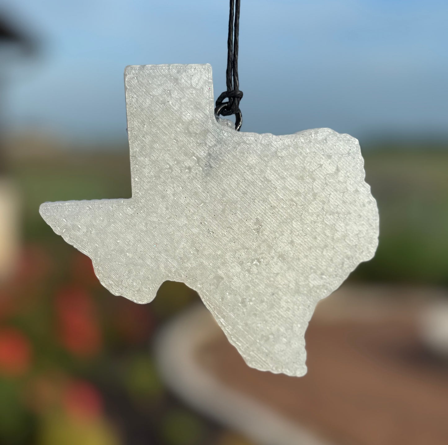 Texas- Plain