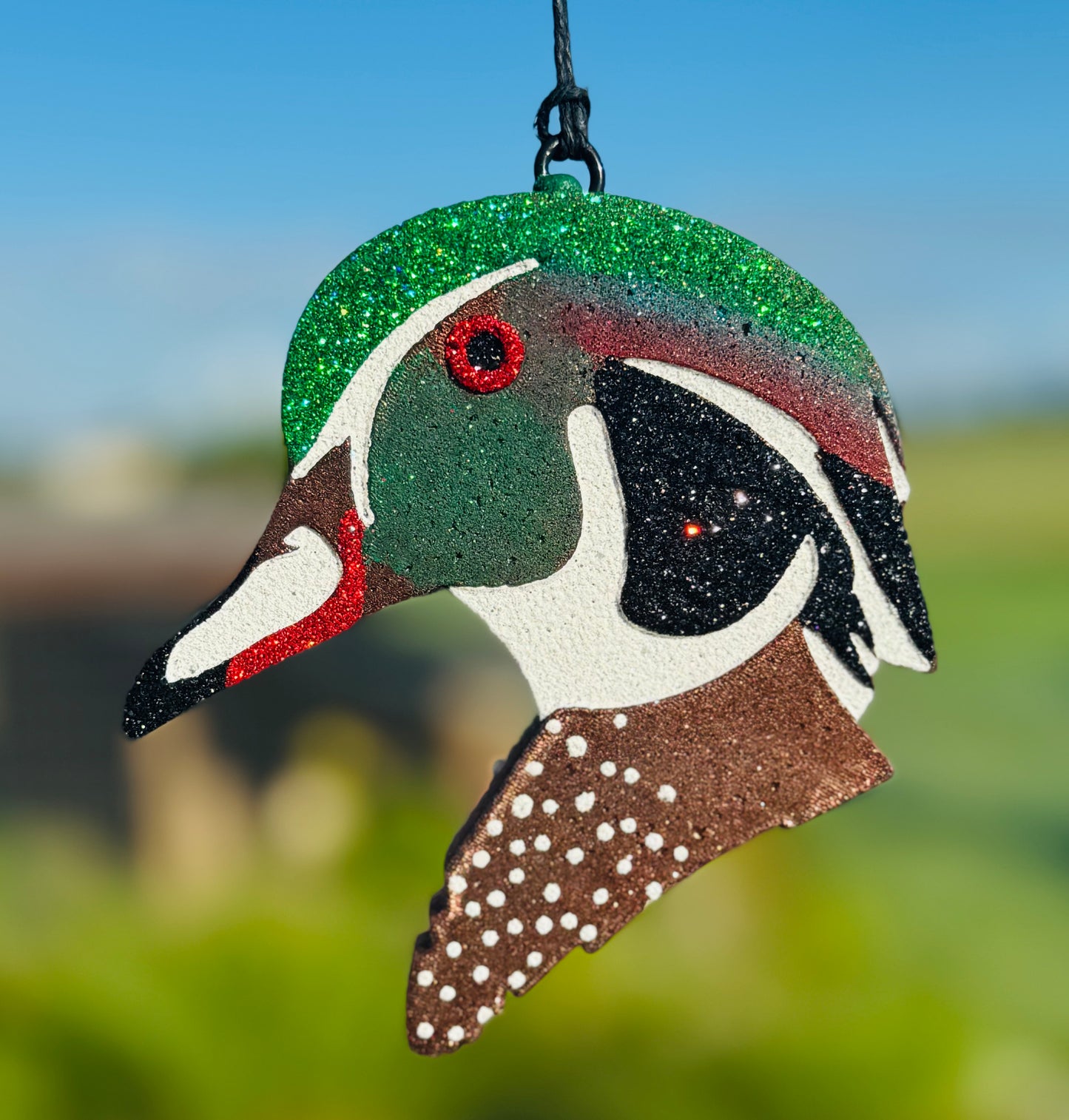 Wood Duck