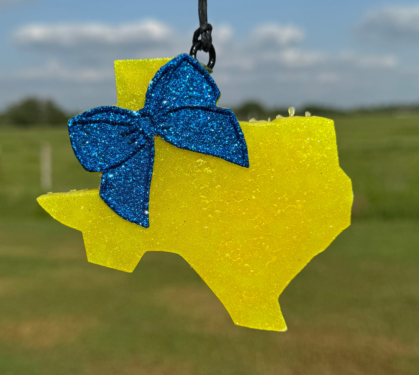 Texas with Bow