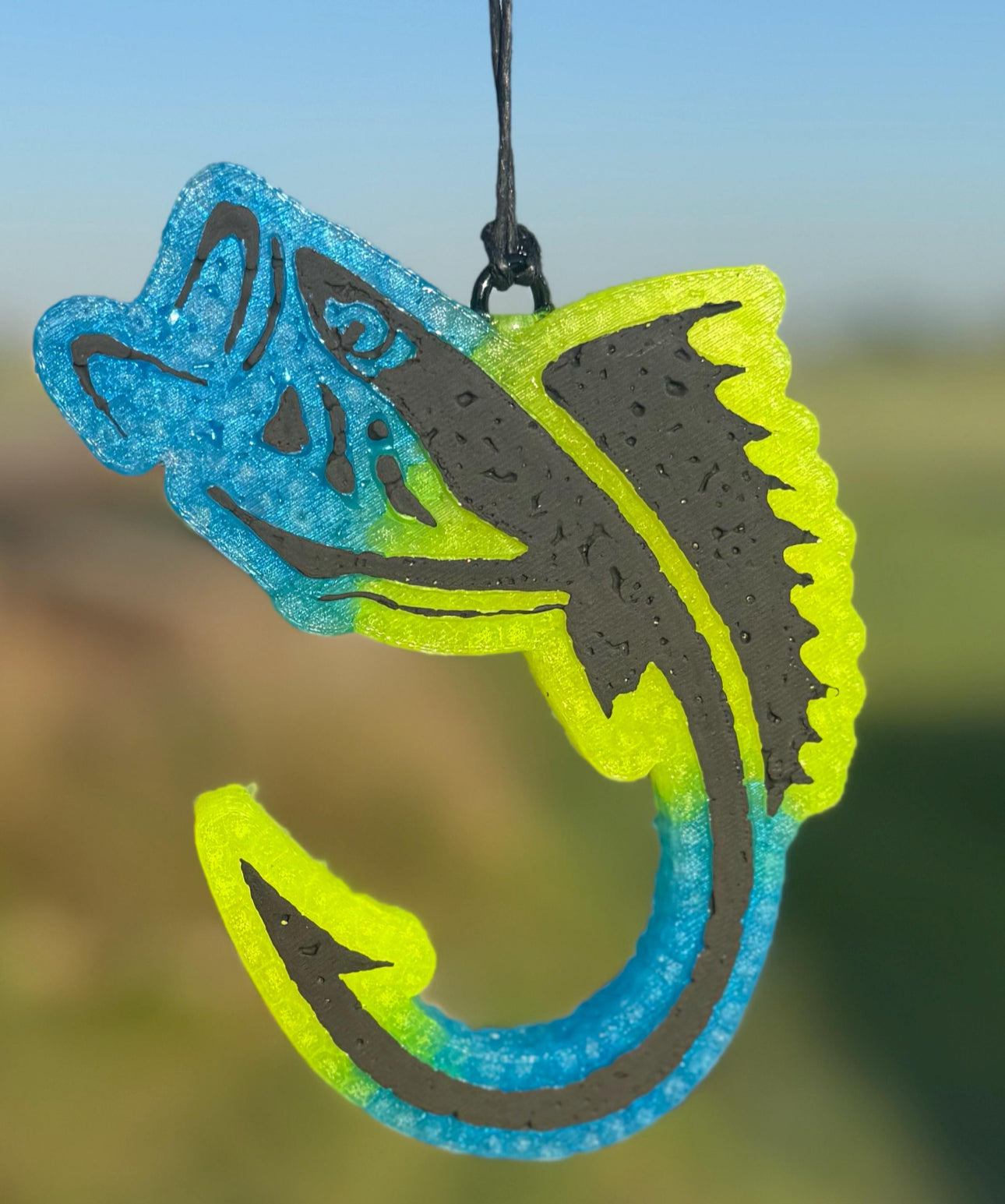 Fish with Hook