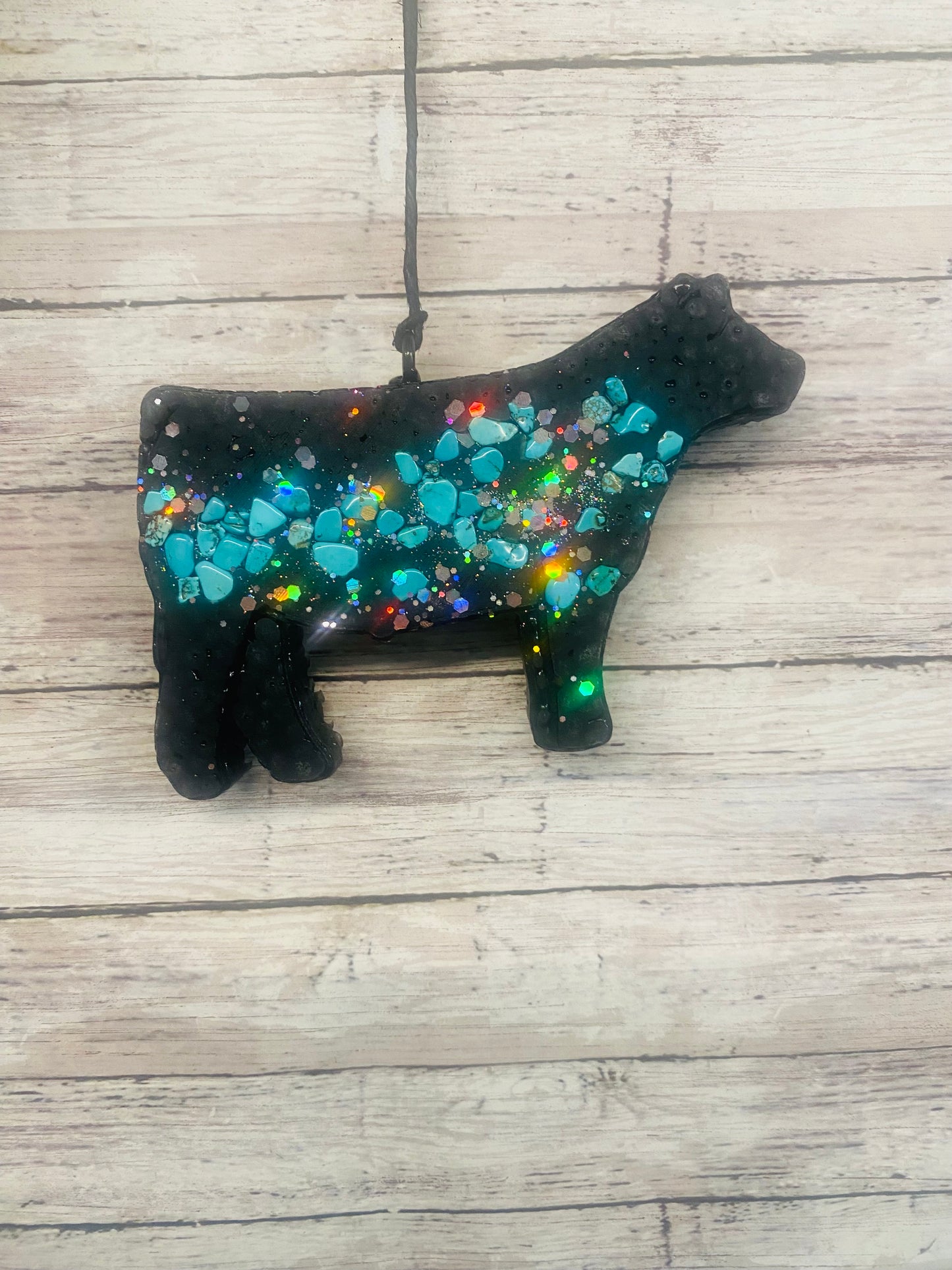 Show Steer