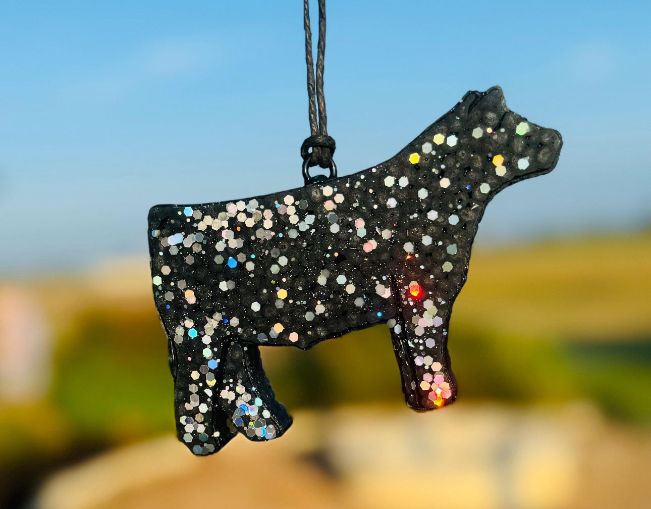 Show Steer