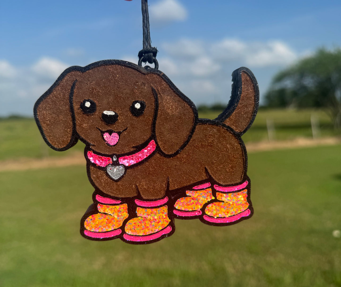Weinee Dog with Rain boots