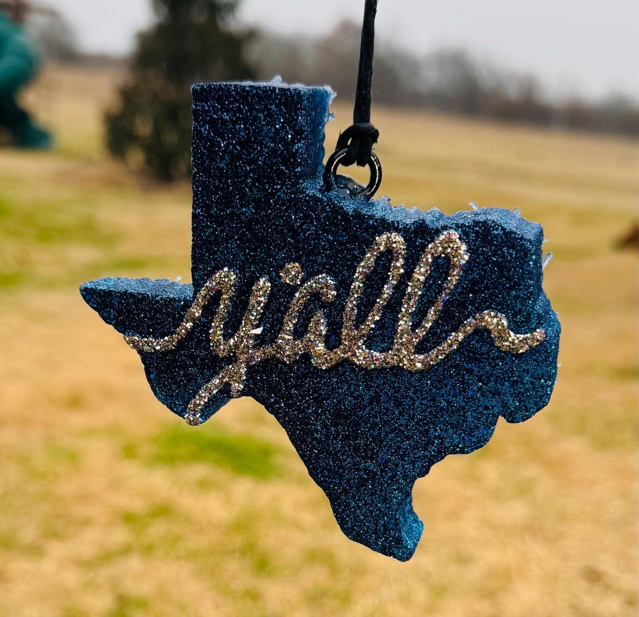 Texas Y'all