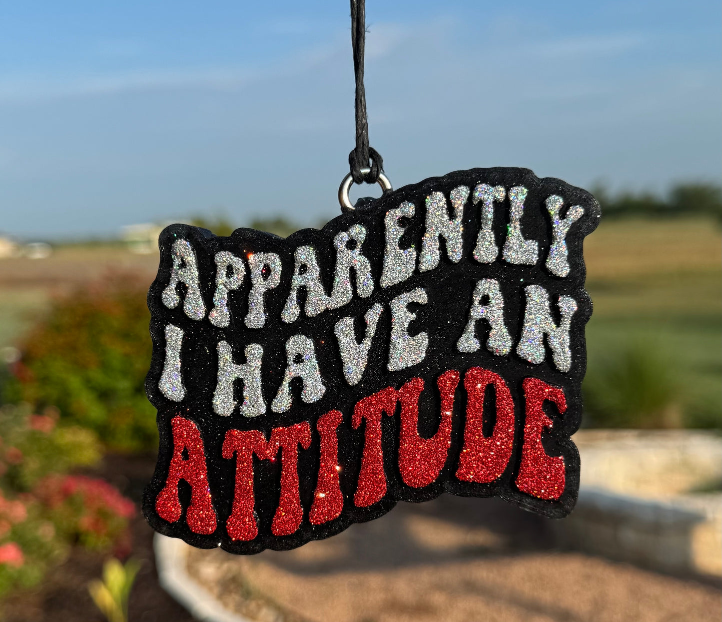 Apparently I have an Attitude