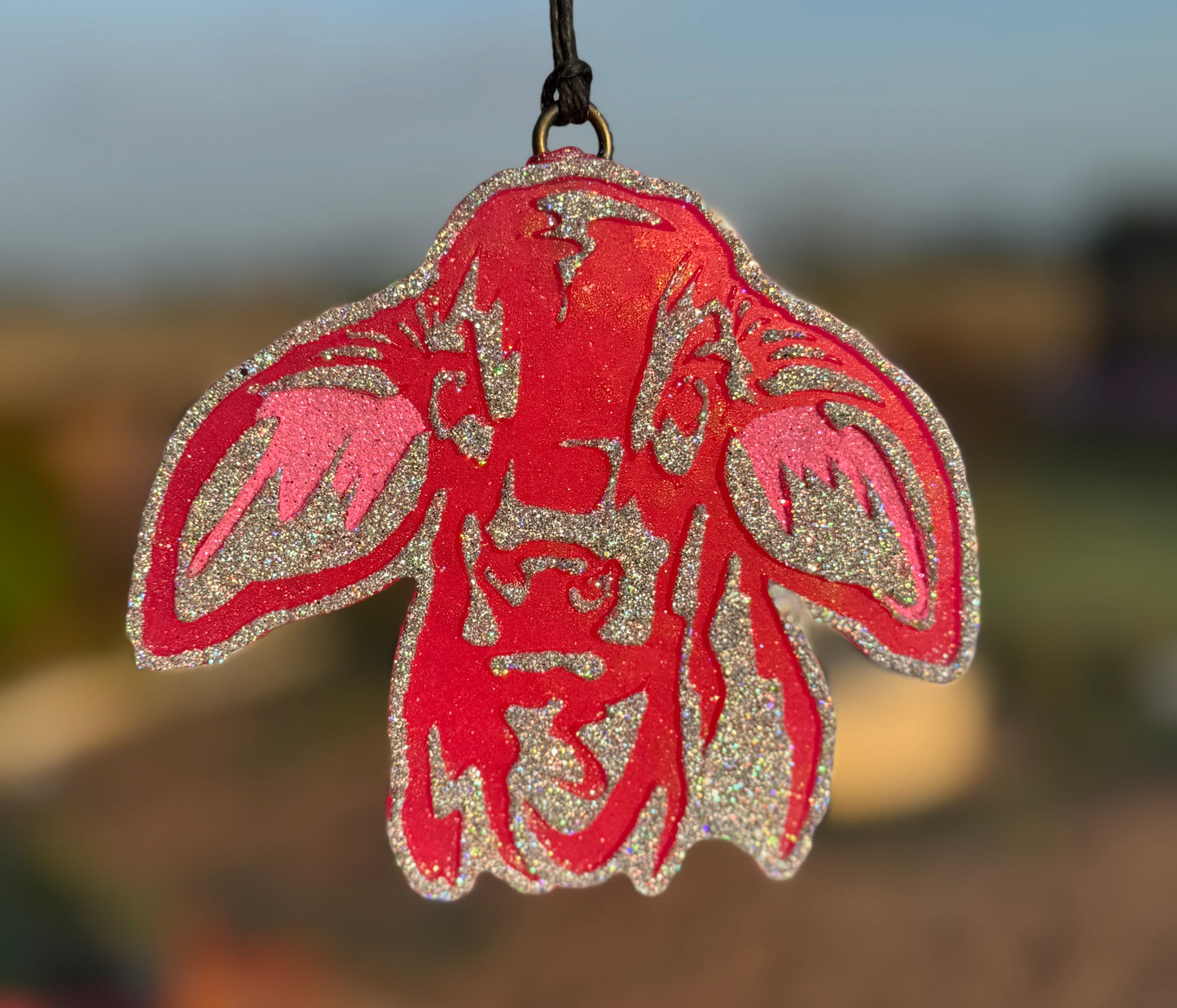 Brahma Cow