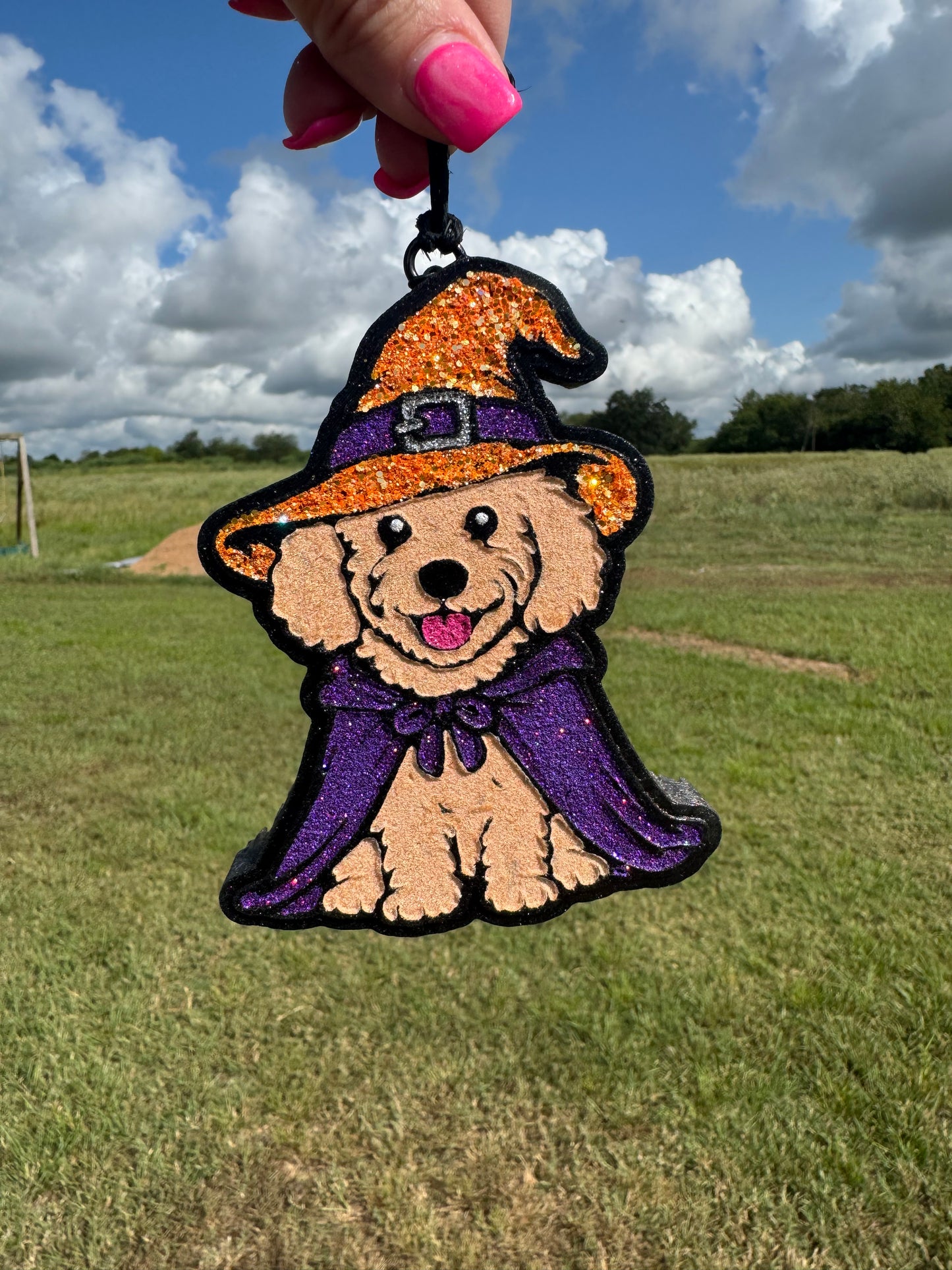 Halloween Witch Dog