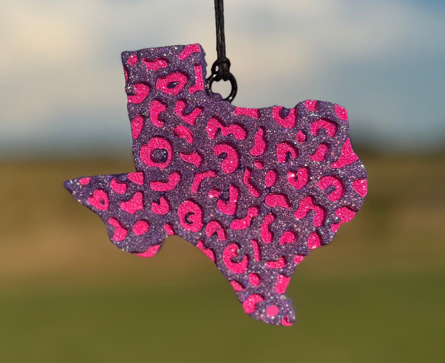 Cheetah Texas