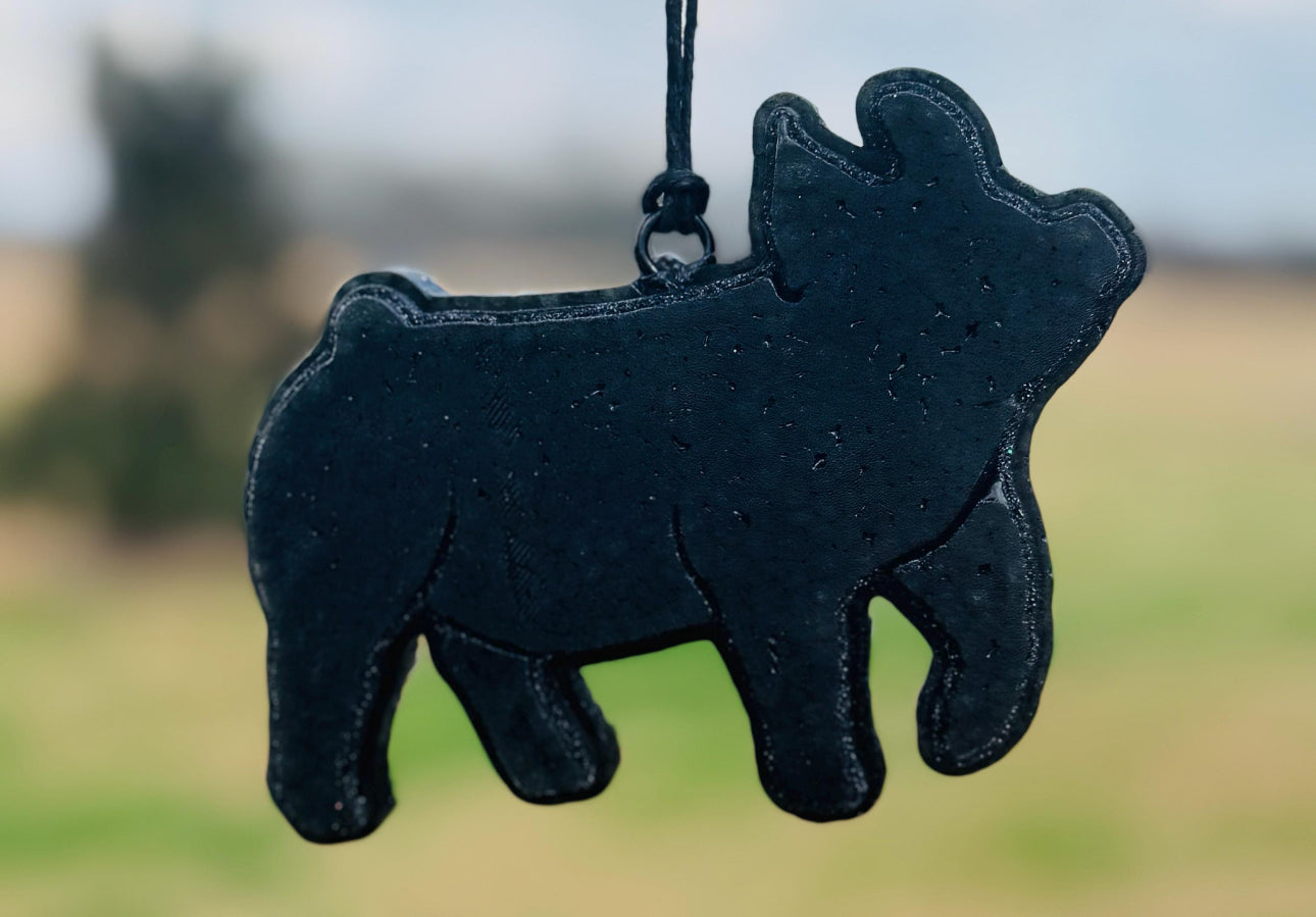 Show Pig