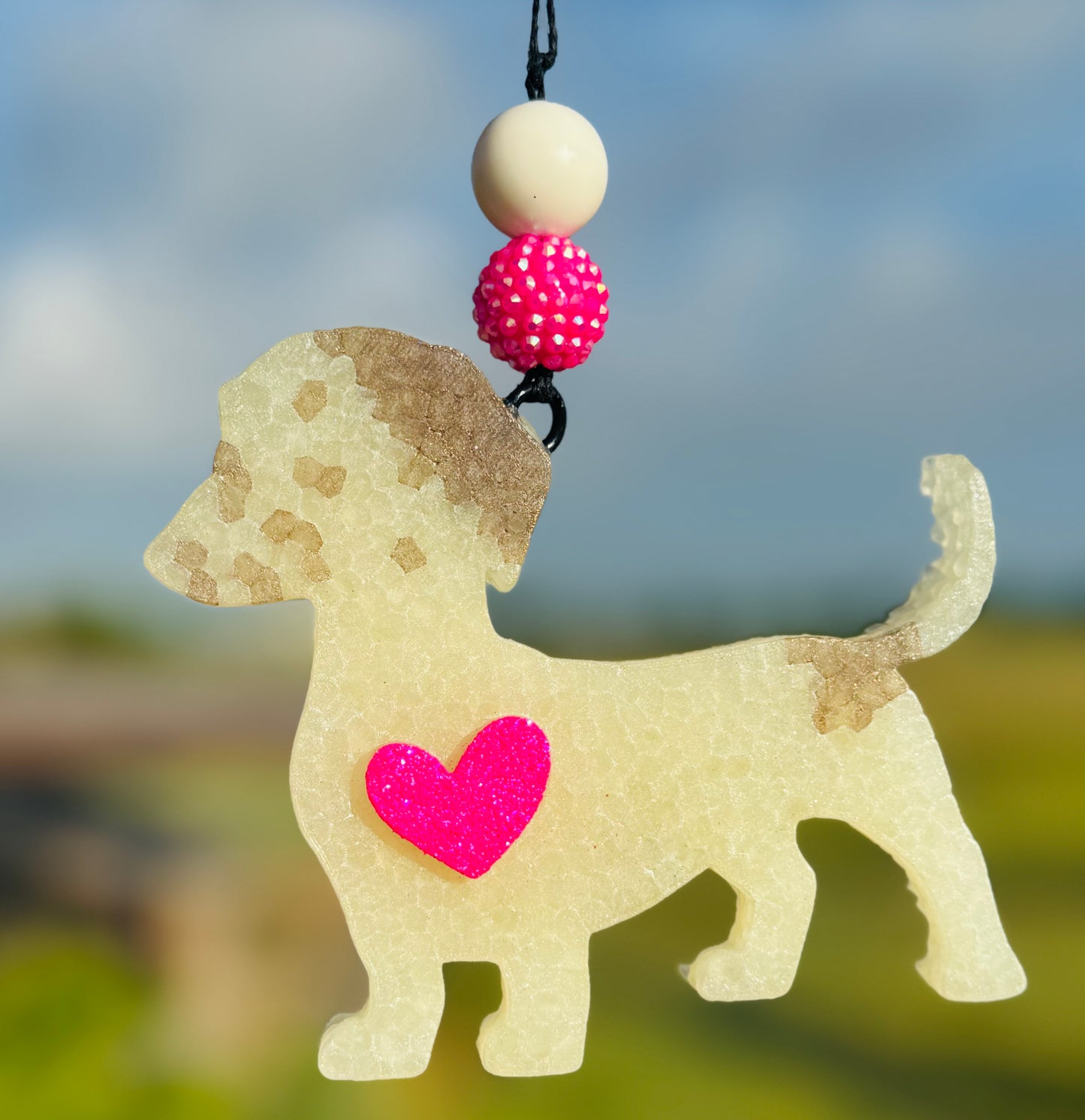 Weinee Dog-Dachshund