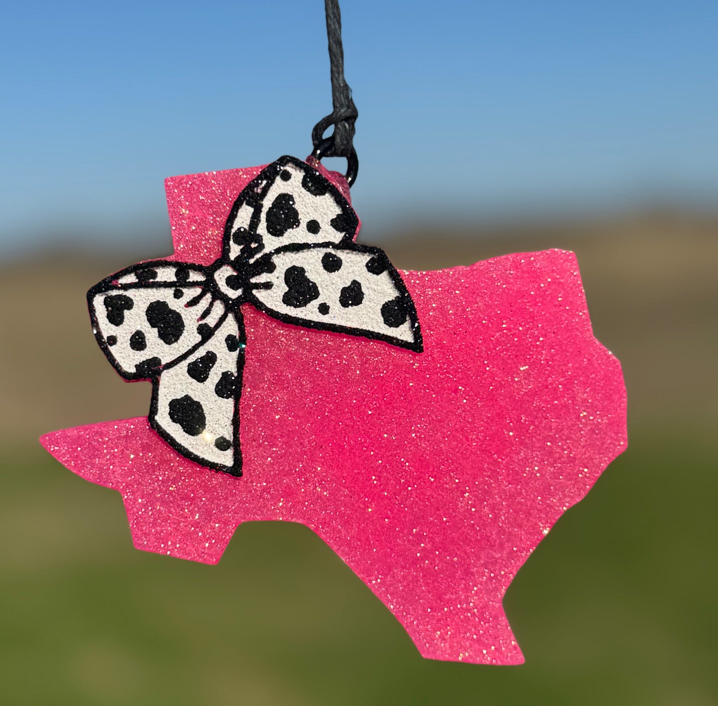 Texas with Bow