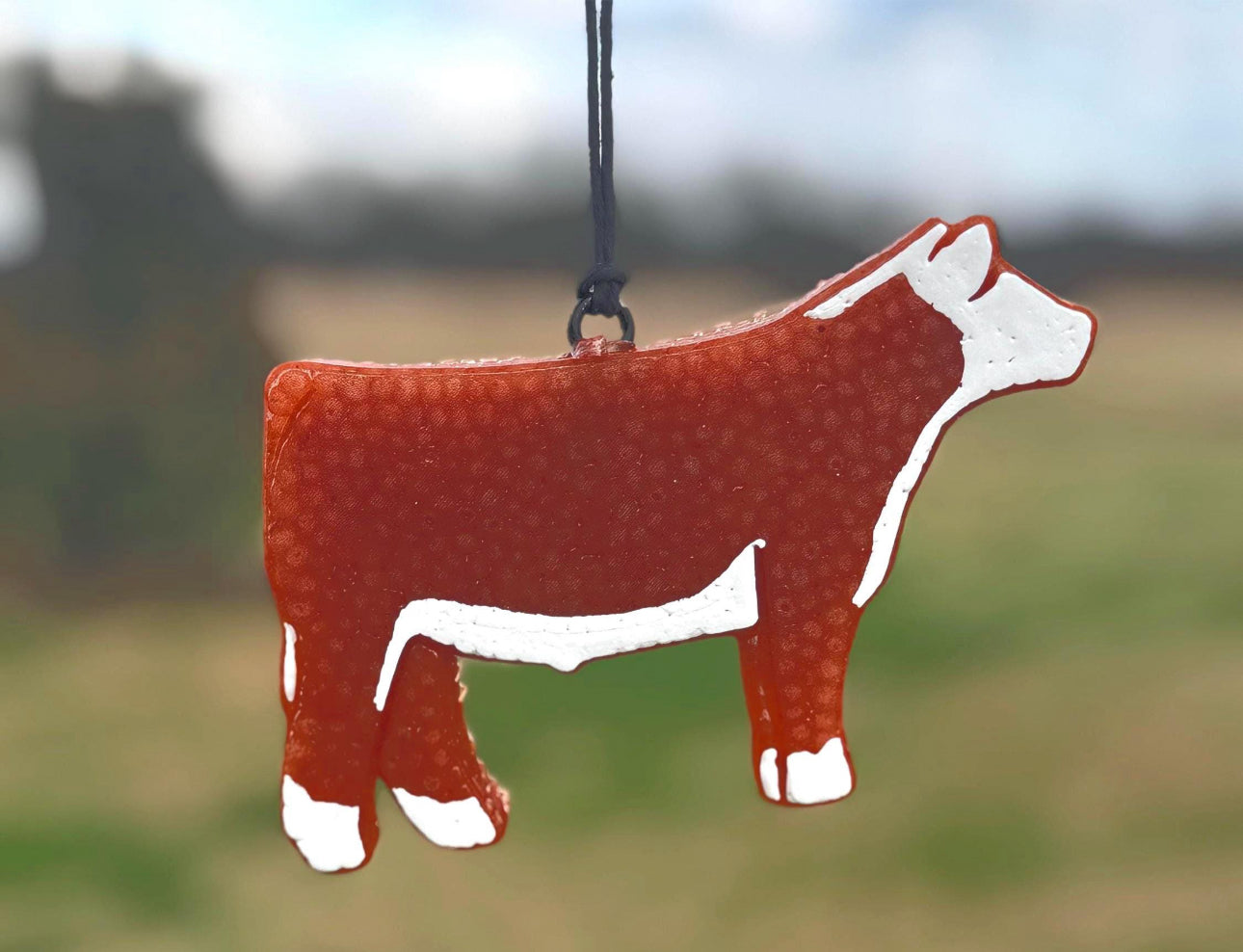 Show Steer