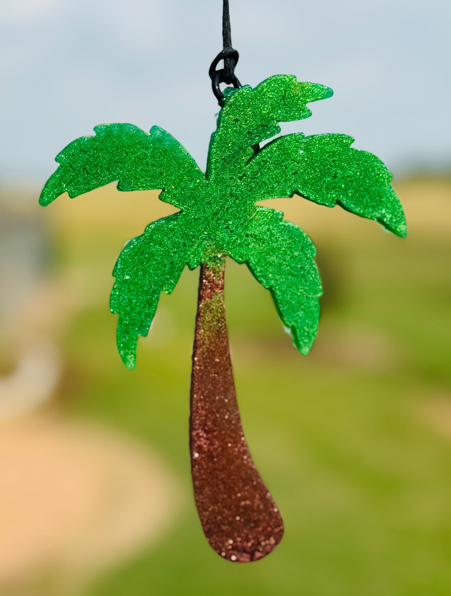 Palm Tree