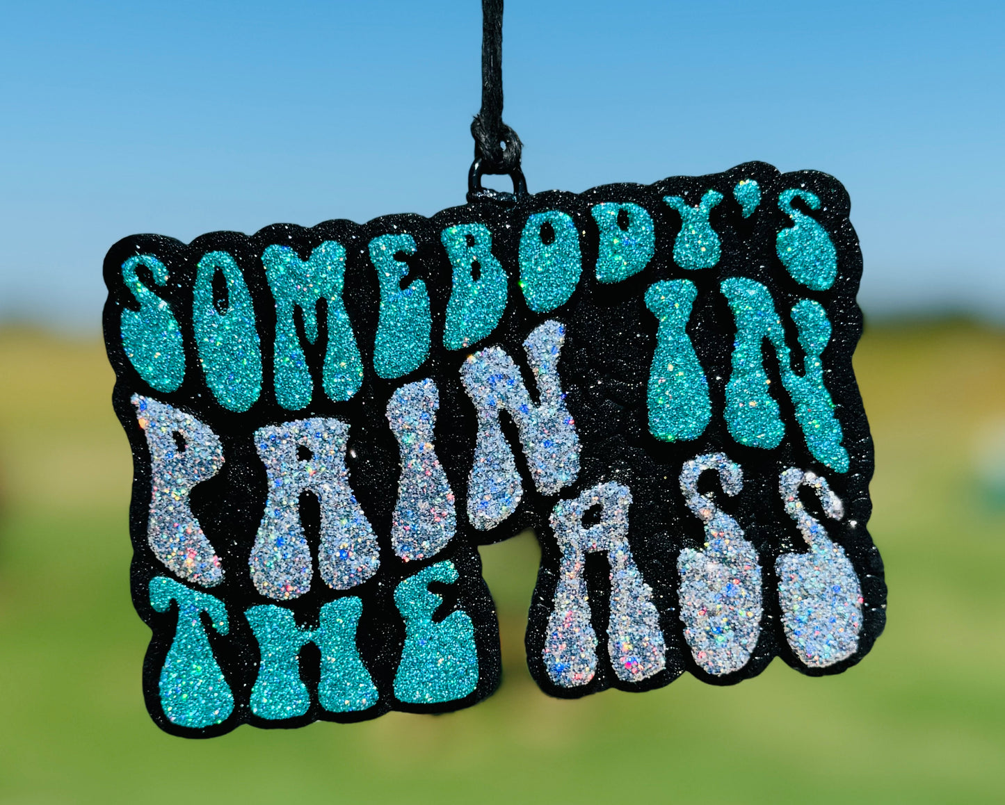 Somebody's Pain in the Ass