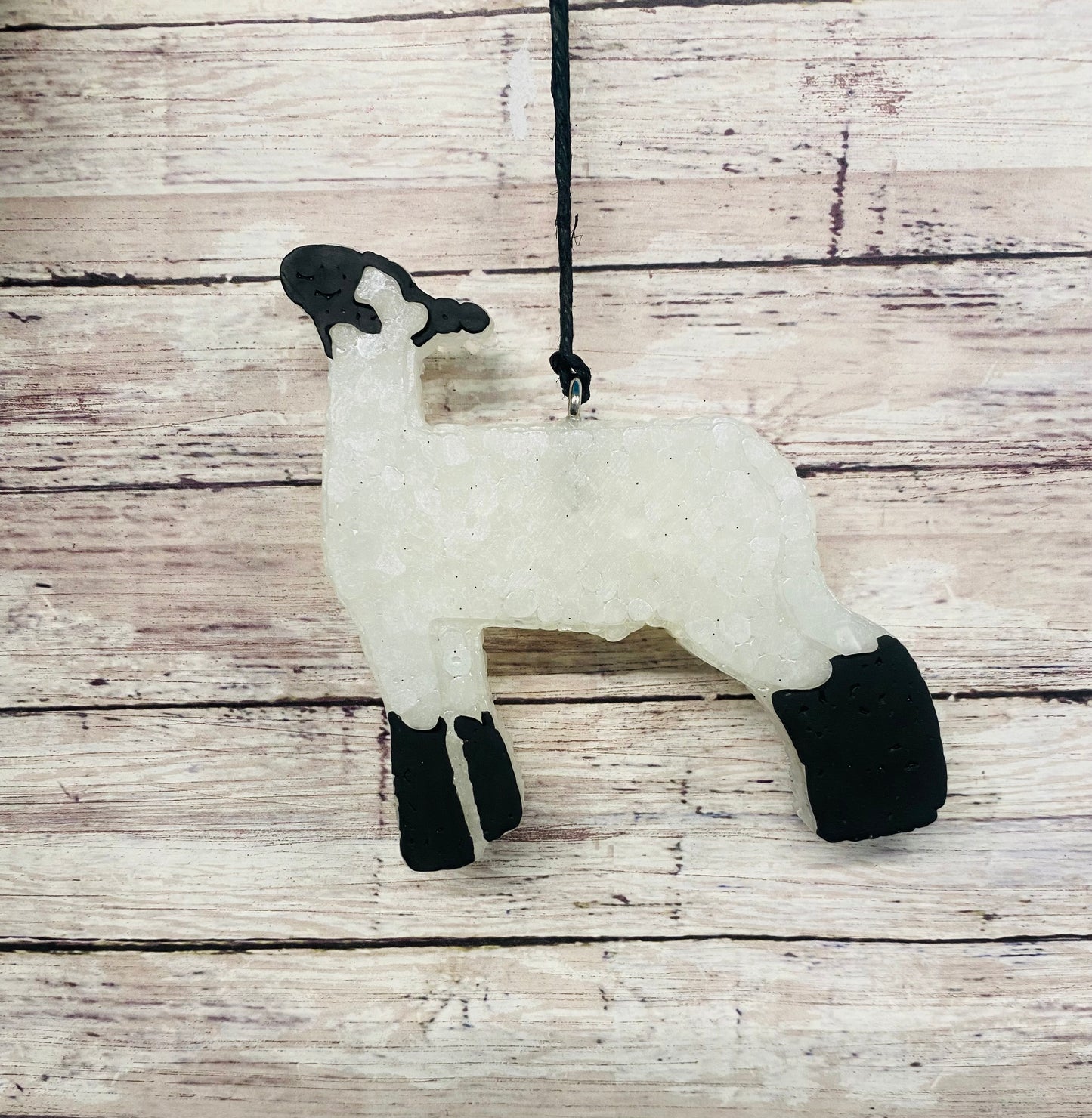 Show Lamb