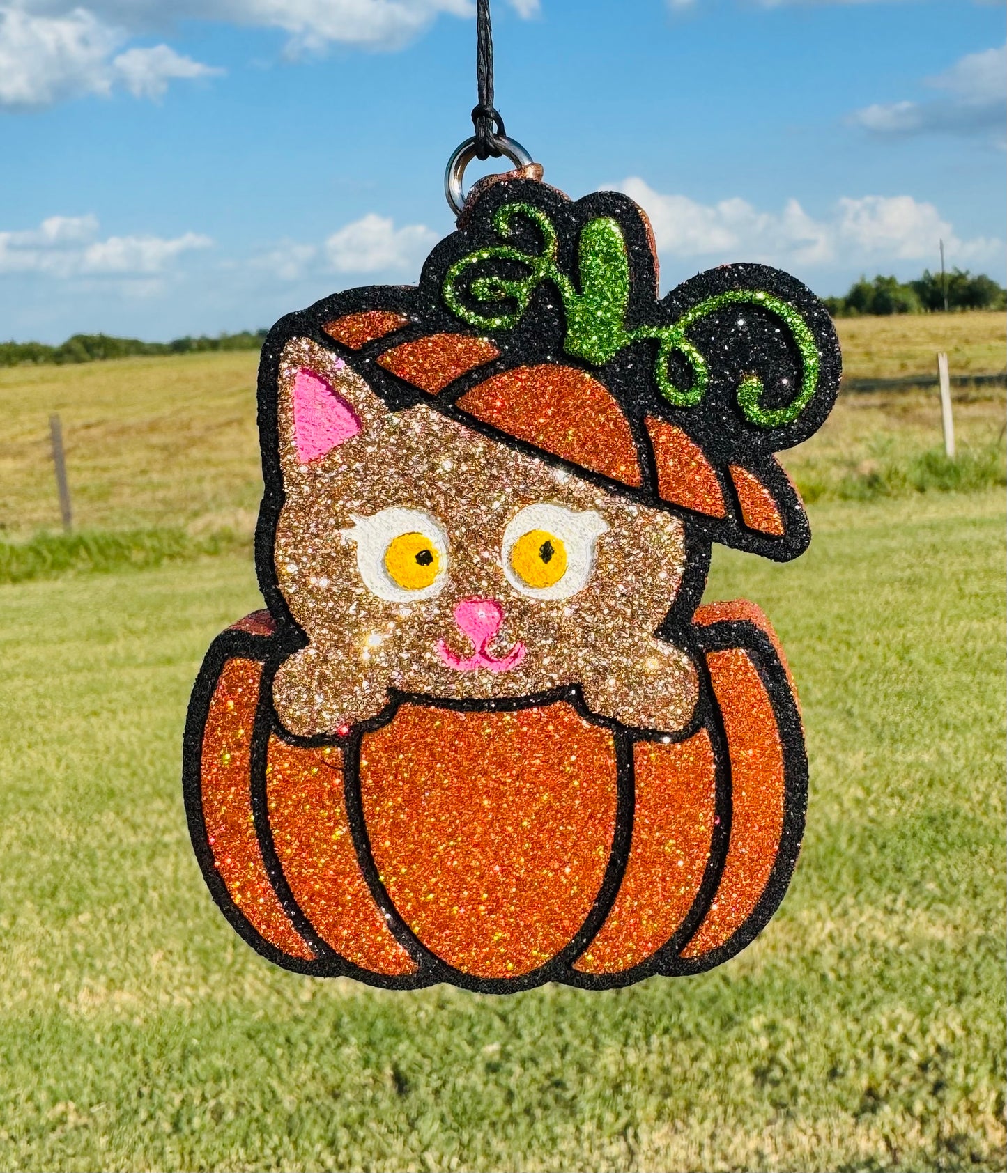 Cat in Pumpkin