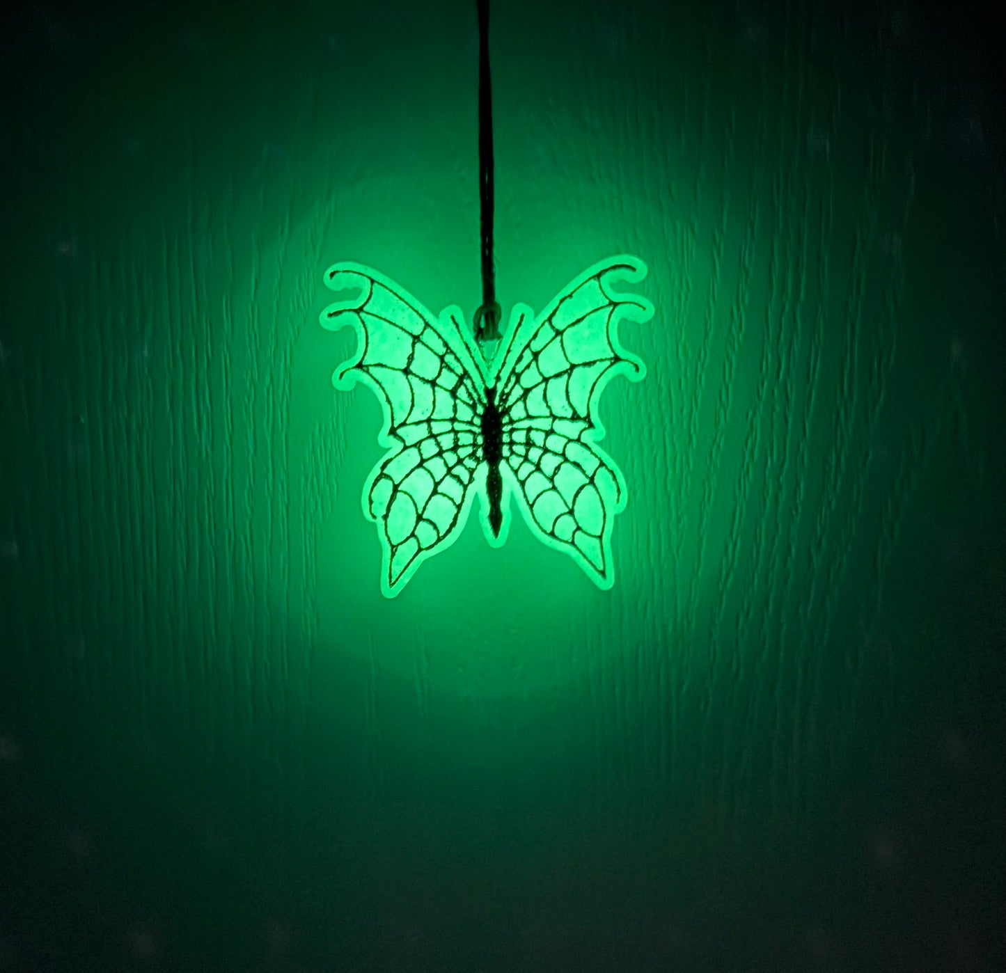 Spider Web Butterfly