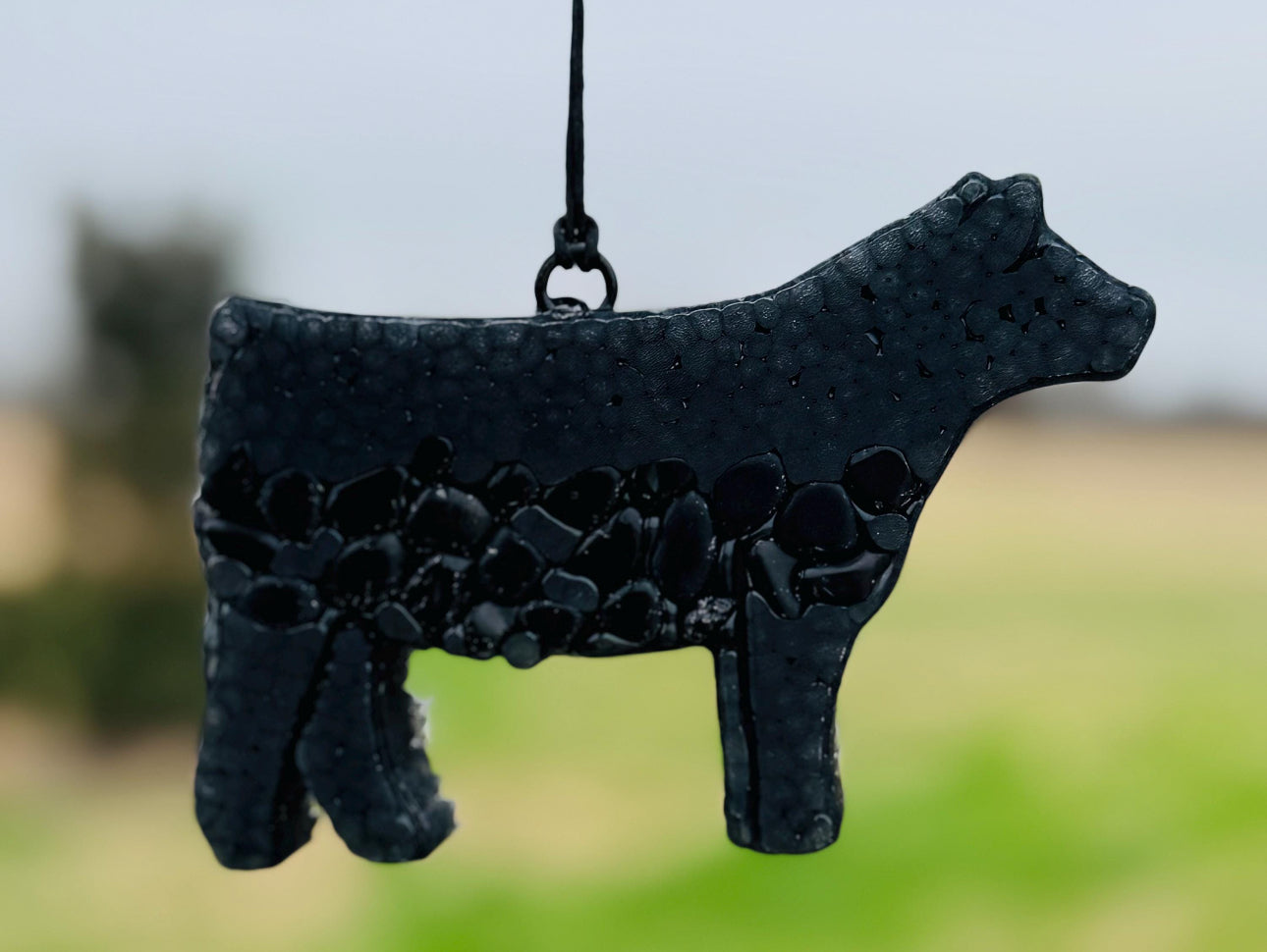 Show Steer
