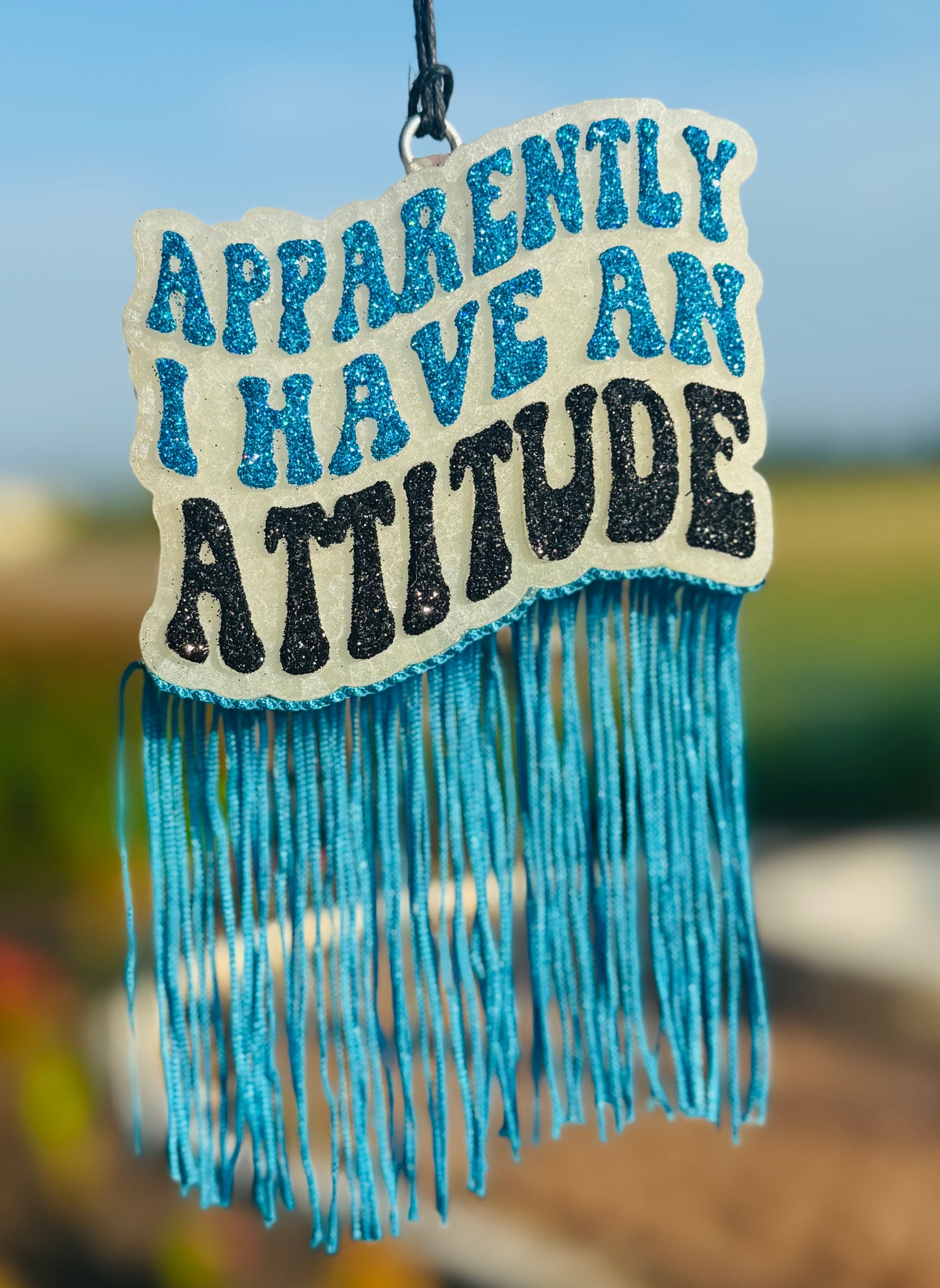 Apparently I have an Attitude