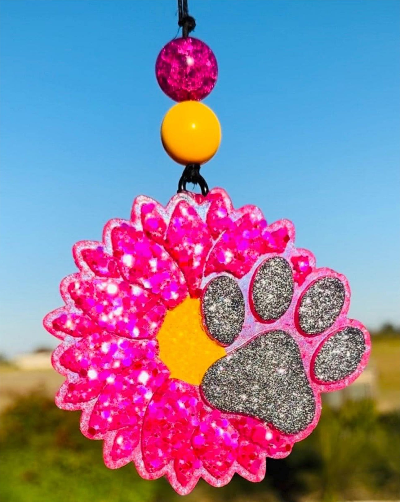 Sunflower with Dog Paw