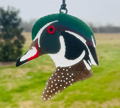 Wood Duck