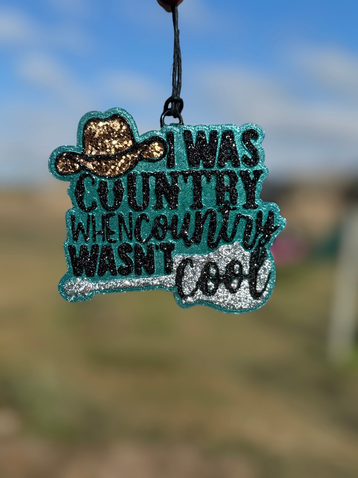 I was Country When Country Wasn't Cool