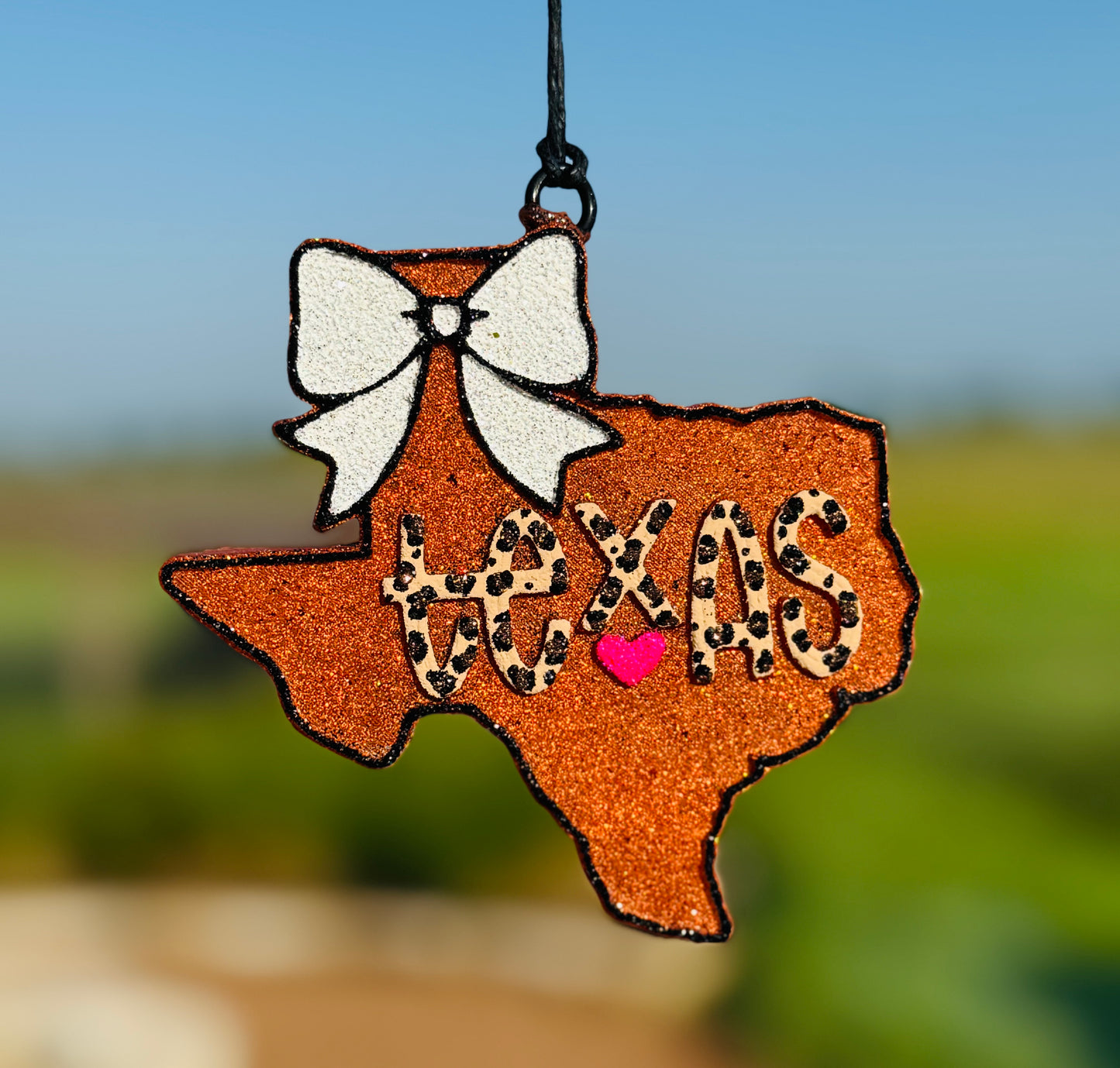 Texas with Bow and words