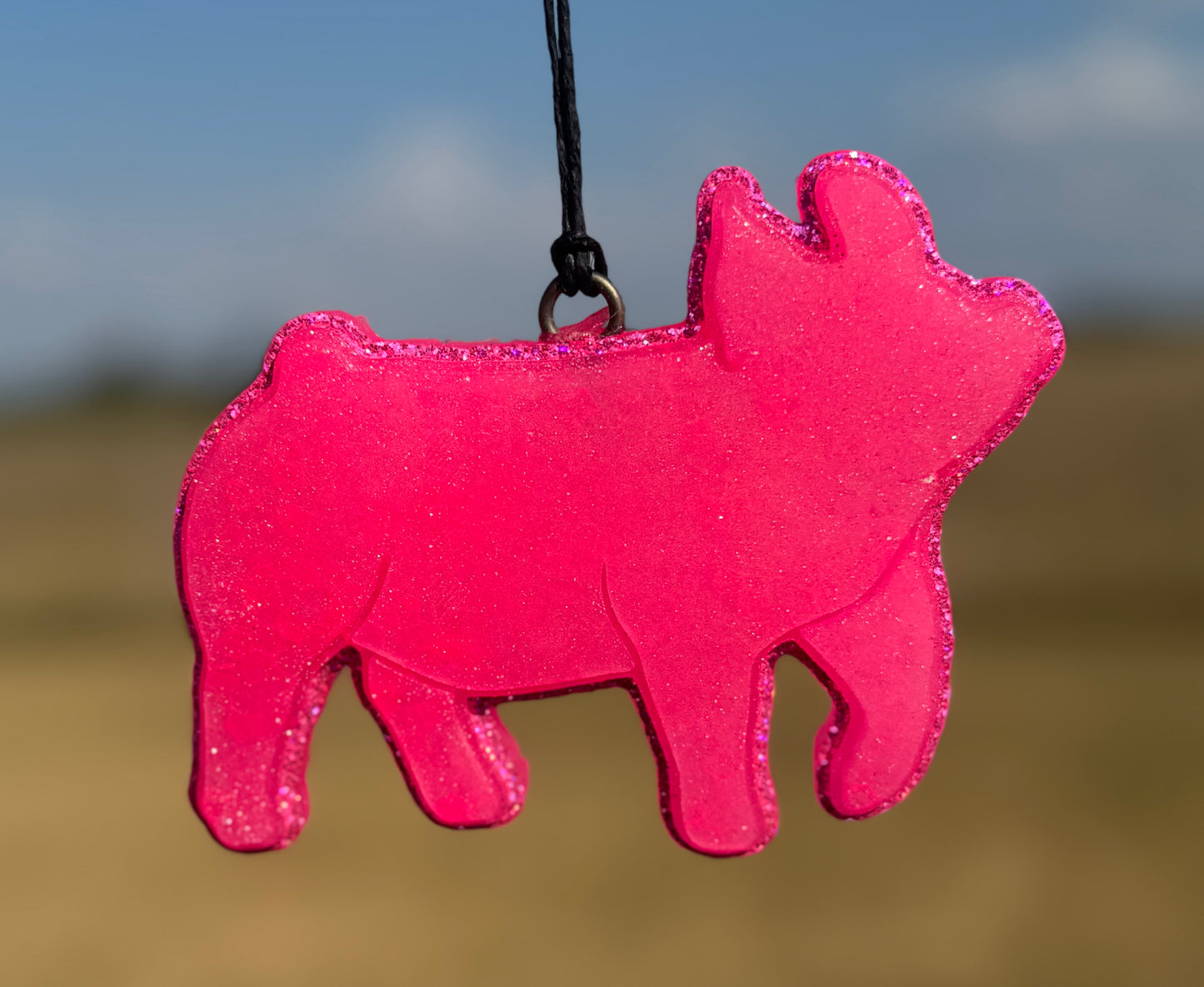 Show Pig