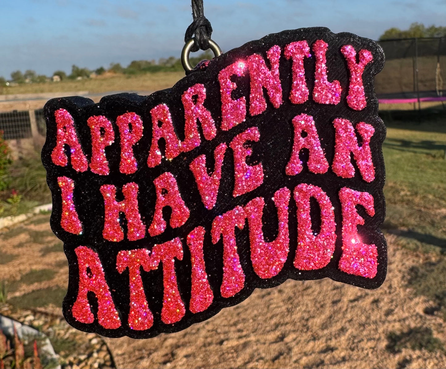 Apparently I have an Attitude