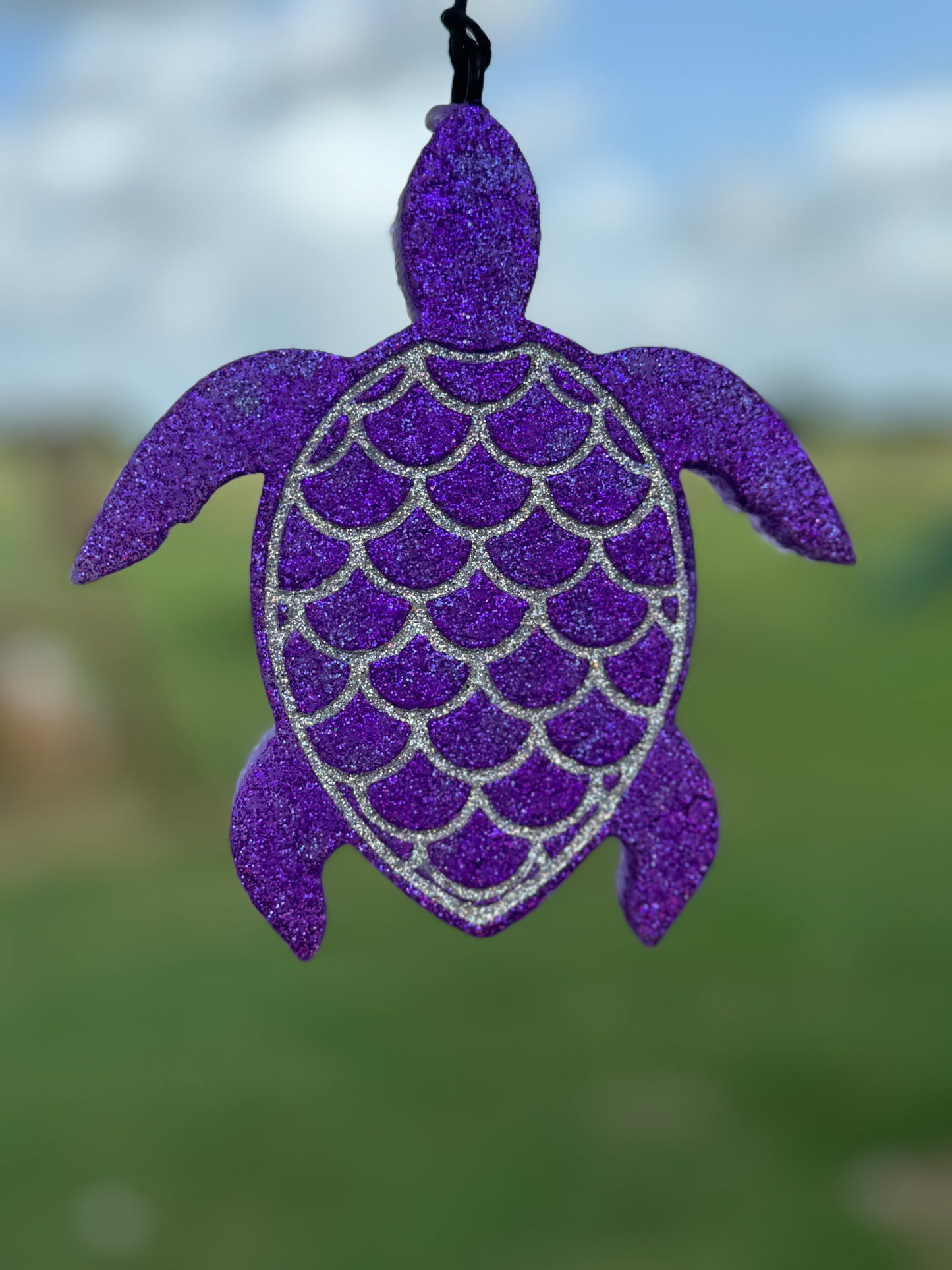 Sea Turtle