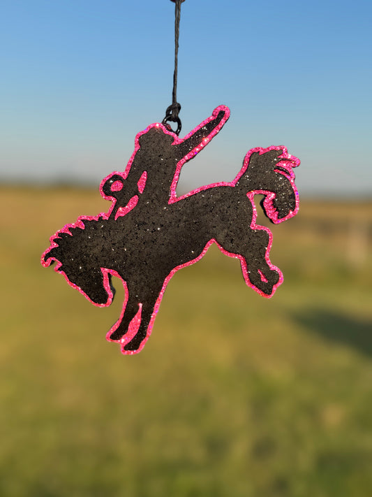 Bronc Rider Cowboy
