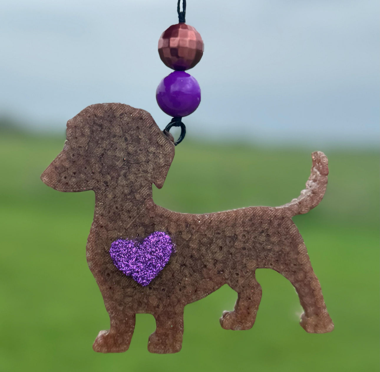Weinee Dog-Dachshund