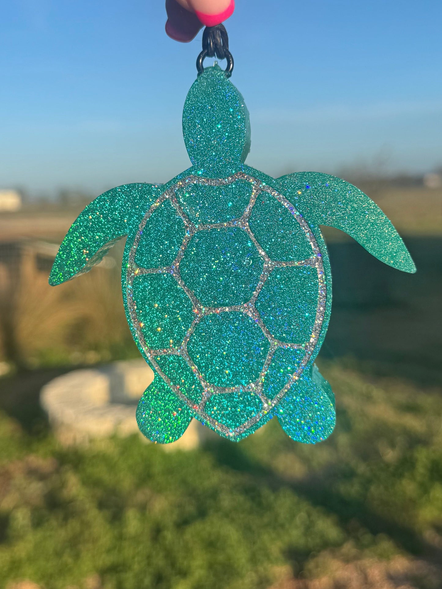 Sea Turtle-option 1