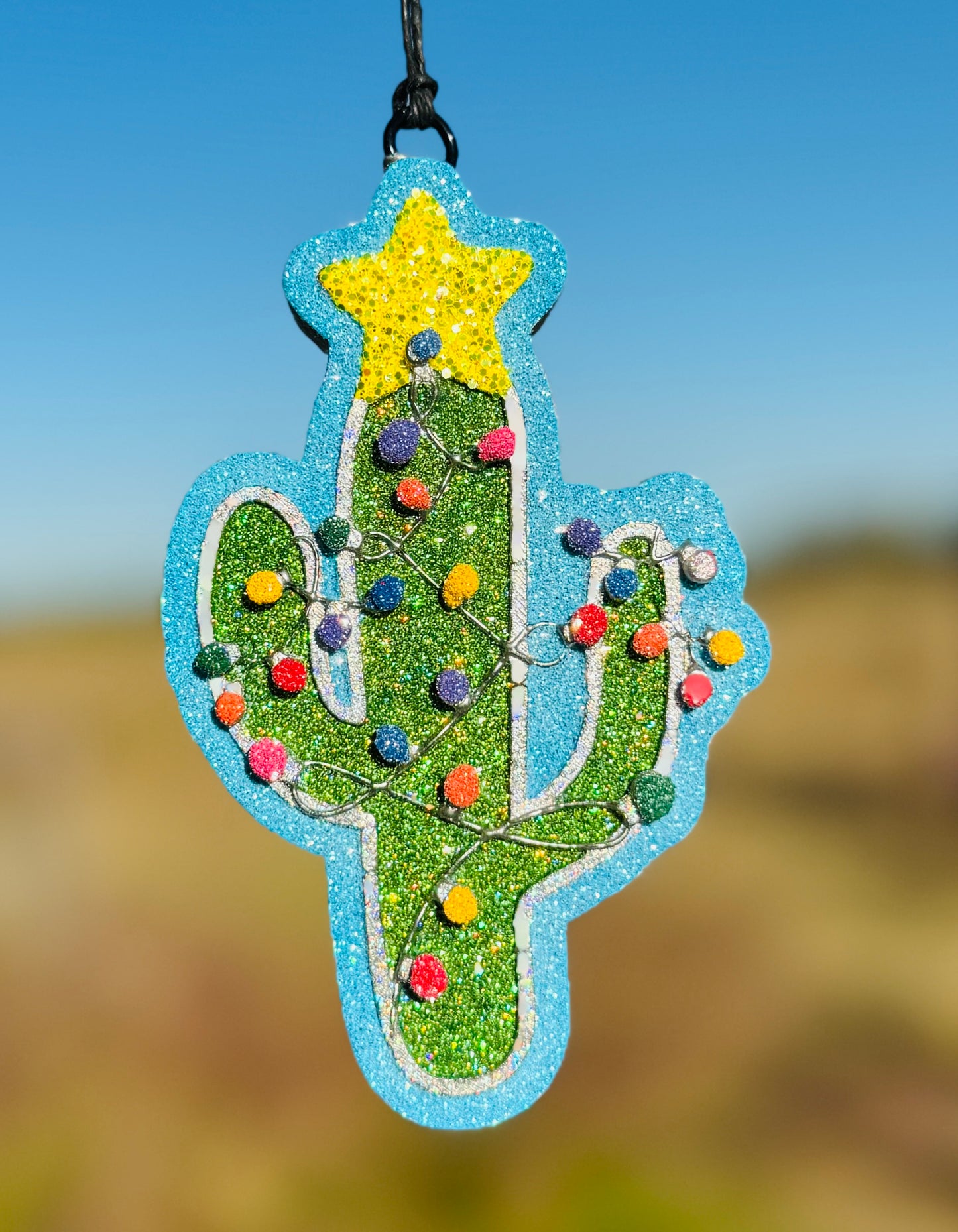 Christmas Cactus with Star