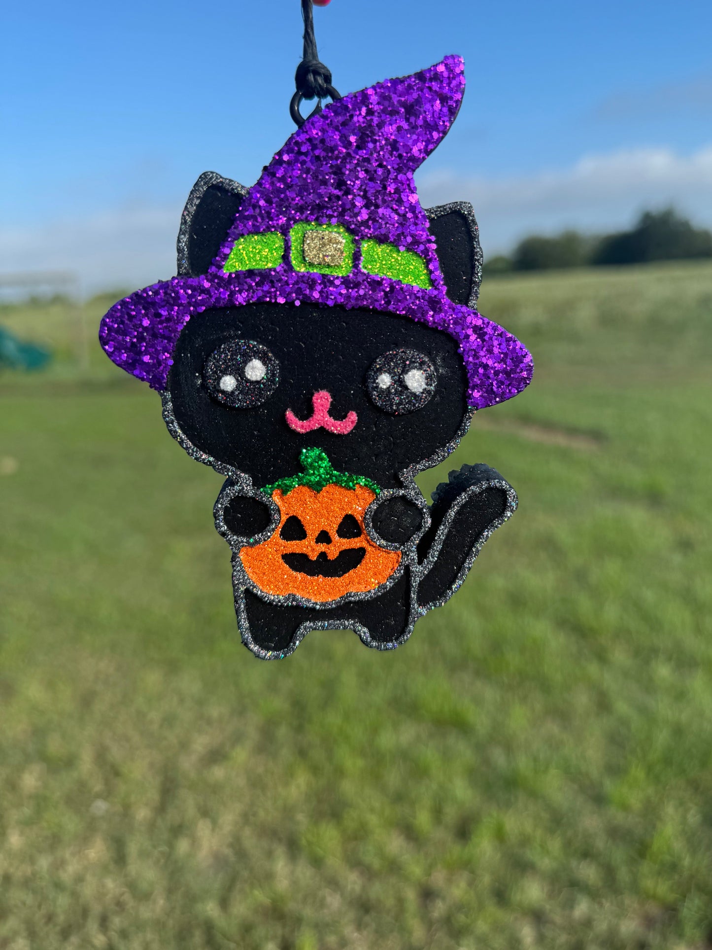 Halloween Witch Cat