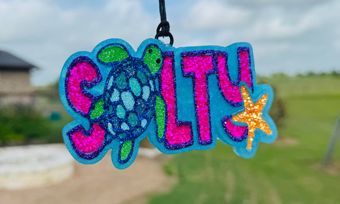 Salty Sea Turtle