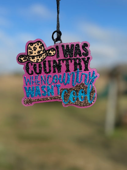 I was Country When Country Wasn't Cool