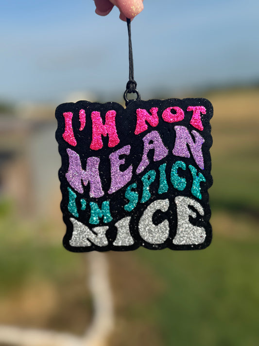 I'm Not Mean...I'm Spicy Nice
